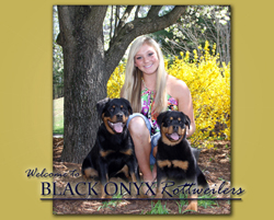 black oynx rotts